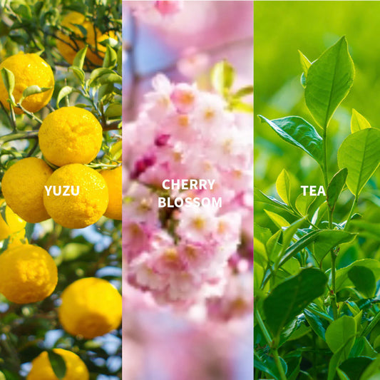 Natural Perfume - Elysée de Tokyo