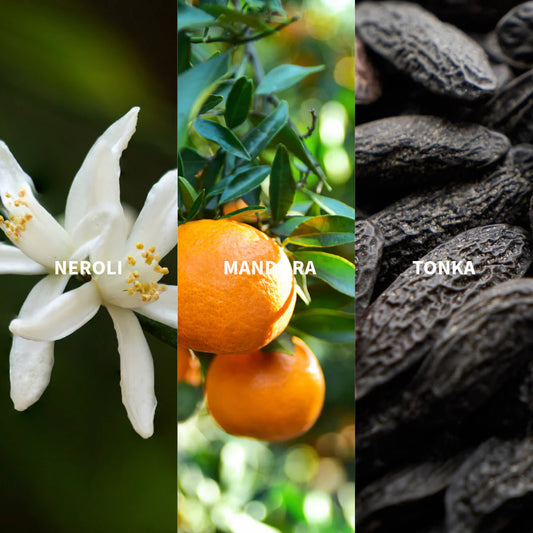 Natural Perfume - Serenité de Natur